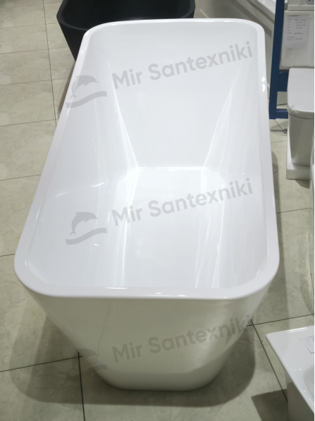 Debora vannasi EIL-6106